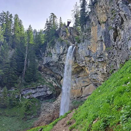 Bachweg アパート フォルスタウ